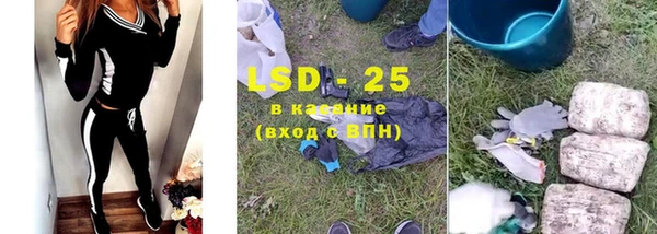 ГАЛЛЮЦИНОГЕННЫЕ ГРИБЫ Липки